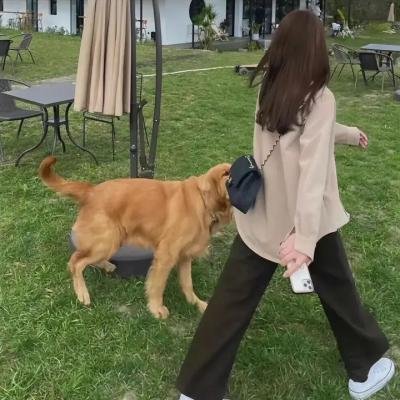 犯人就是你第一季